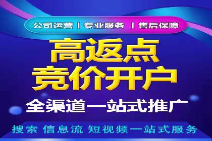成功案例：百度推广返点的实际效果